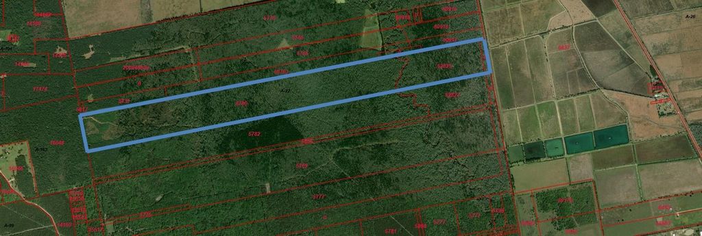 TBD Garcia Road, Batson, TX 77519