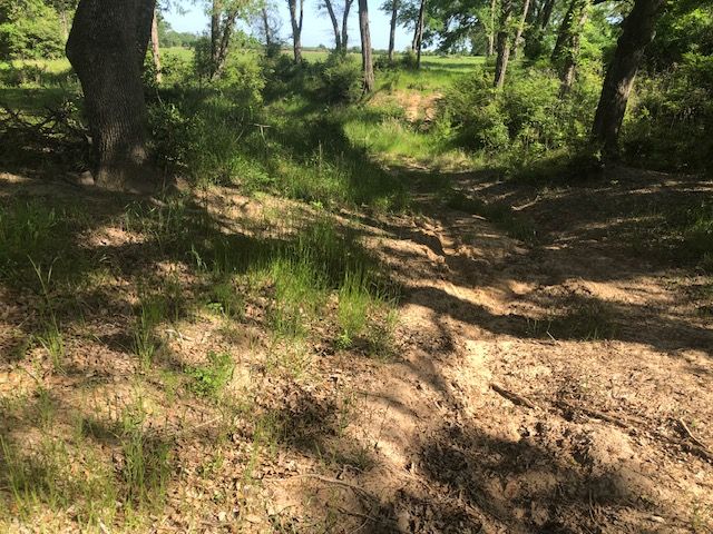 6118 East Fm 979 Farm to Market Road E, Franklin, TX 77856