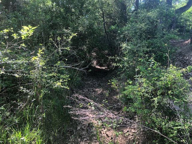 6118 East Fm 979 Farm to Market Road E, Franklin, TX 77856