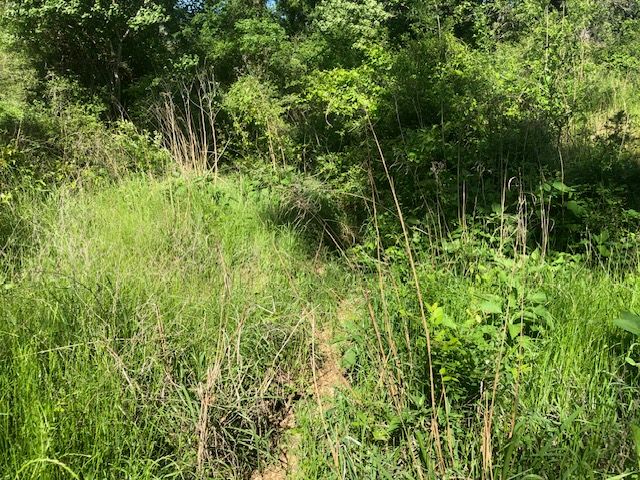 6118 East Fm 979 Farm to Market Road E, Franklin, TX 77856