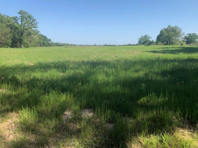 6118 East Fm 979 Farm to Market Road E, Franklin, TX 77856