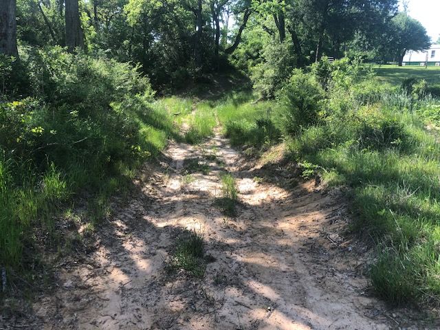 6118 East Fm 979 Farm to Market Road E, Franklin, TX 77856