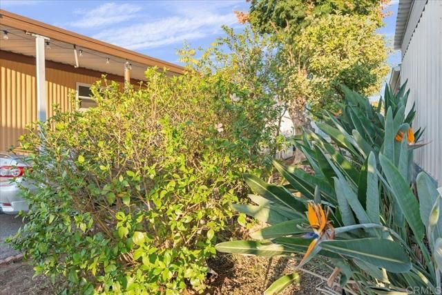 1174 E Main Street 103, El Cajon, CA 92021