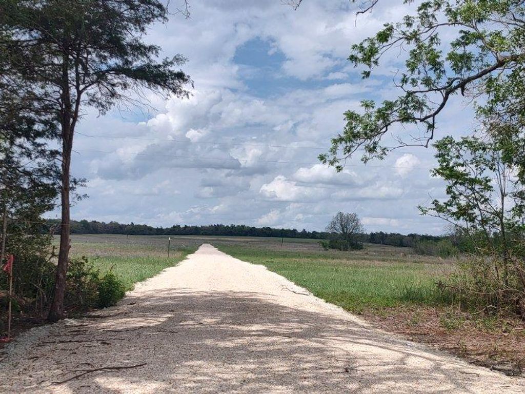 TBD CR 328, TRACT 7, 10 ACRES Road, Caldwell, TX 77836 — photo 3