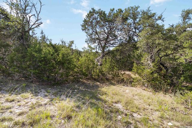221 APACHERIA PASS W, Comfort, TX 78013