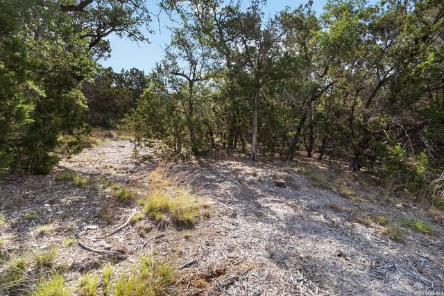 221 APACHERIA PASS W, Comfort, TX 78013