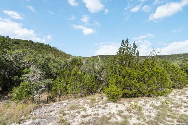 221 APACHERIA PASS W, Comfort, TX 78013