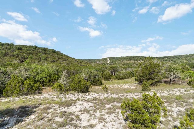 221 APACHERIA PASS W, Comfort, TX 78013