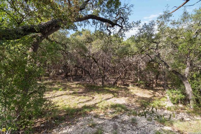 221 APACHERIA PASS W, Comfort, TX 78013