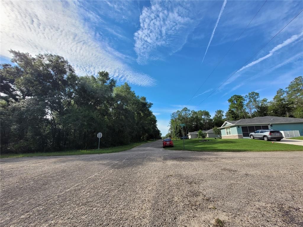 8839 N PELICAN TERRACE, Dunnellon, FL 34434