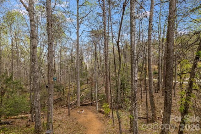 517 Pheasant Street, Lake Lure, NC 28746