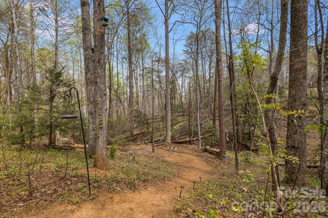 517 Pheasant Street, Lake Lure, NC 28746