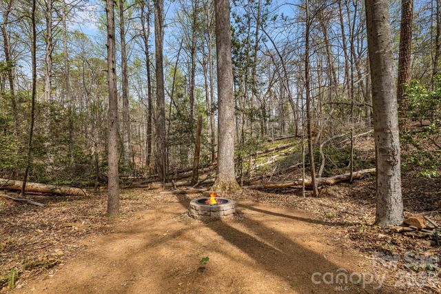517 Pheasant Street, Lake Lure, NC 28746