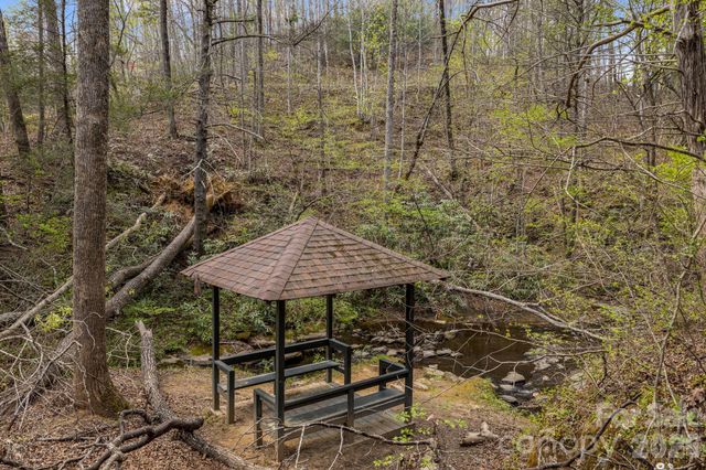 517 Pheasant Street, Lake Lure, NC 28746