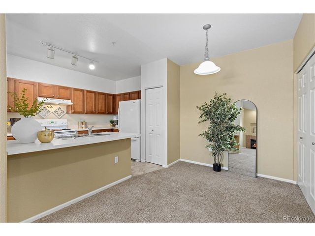 10841 Twenty Mile Rd 206, Parker, CO 80134