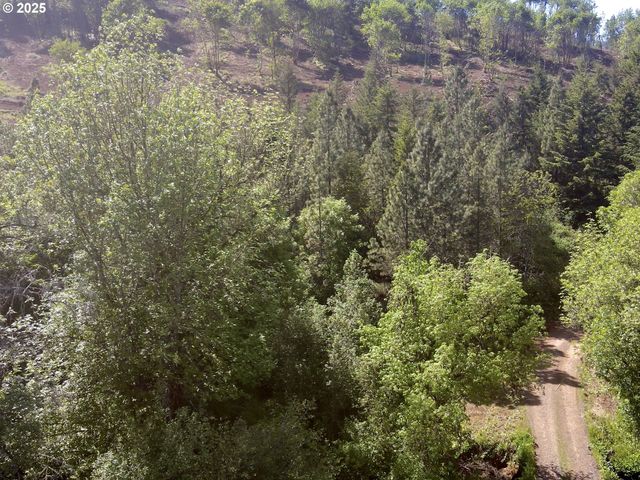 11896 Sw DUPEE VALLEY Rd, Mc Minnville, OR 97128