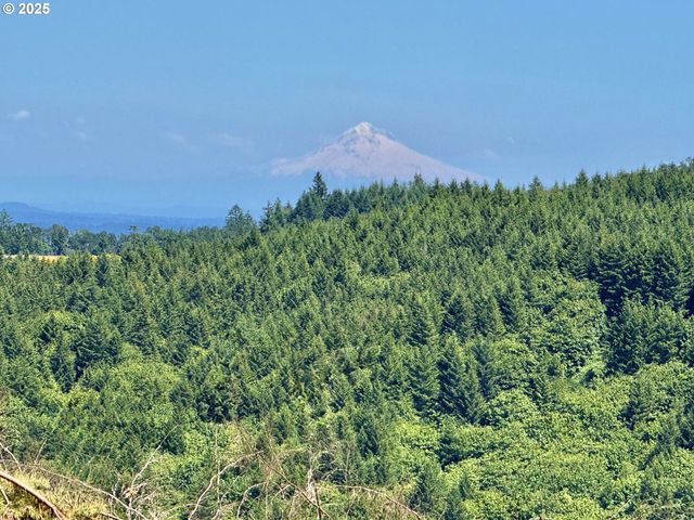 11896 Sw DUPEE VALLEY Rd, Mc Minnville, OR 97128