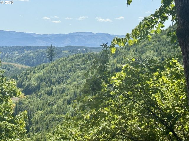 11896 Sw DUPEE VALLEY Rd, Mc Minnville, OR 97128