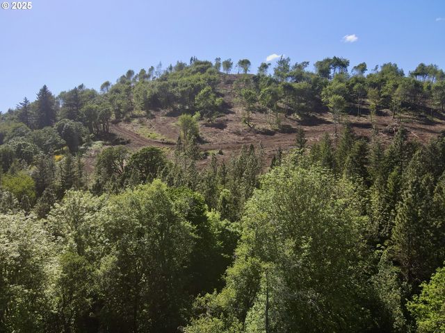 11896 Sw DUPEE VALLEY Rd, Mc Minnville, OR 97128