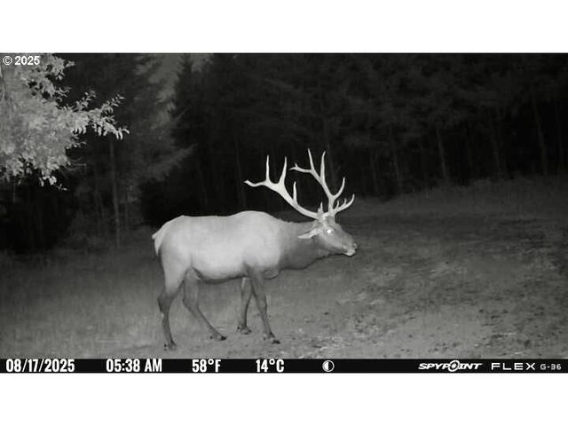 11896 Sw DUPEE VALLEY Rd, Mc Minnville, OR 97128