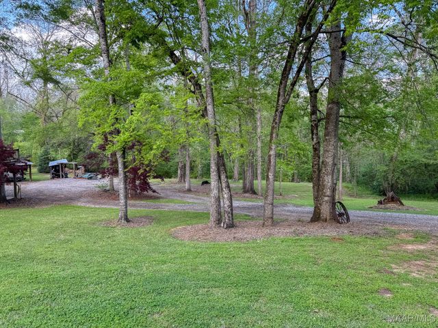 100 Walnut Street, Catherine, AL 36728