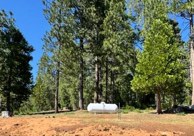 27645 E Inspiration E. Dr, Pioneer, CA 95666