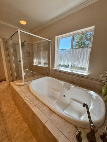 27645 E Inspiration E. Dr, Pioneer, CA 95666