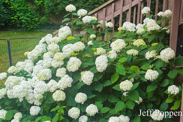 5382 Pinnacle Drive, Wyoming, MI 49519