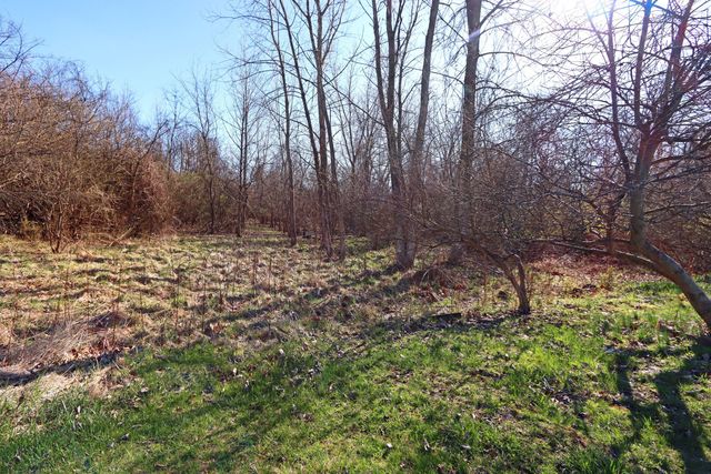 4897 Nieles Edge Drive, Columbus, OH 43232