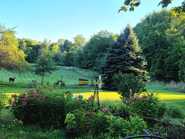 4885 Gavin Lake Road Ne, Grattan Twp, MI 49301