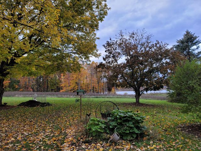 4885 Gavin Lake Road Ne, Grattan Twp, MI 49301