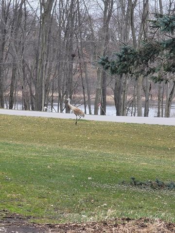 4885 Gavin Lake Road Ne, Grattan Twp, MI 49301