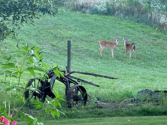 4885 Gavin Lake Road Ne, Grattan Twp, MI 49301