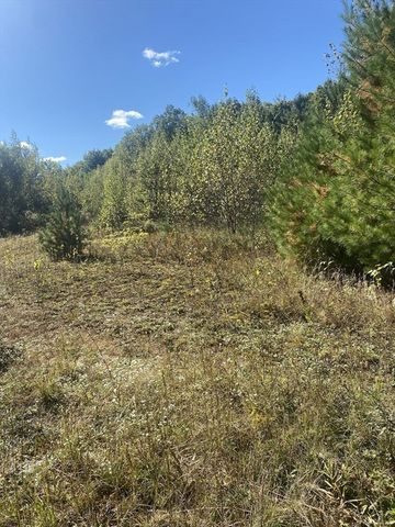 87-12 State St, Palmer, MA 01009