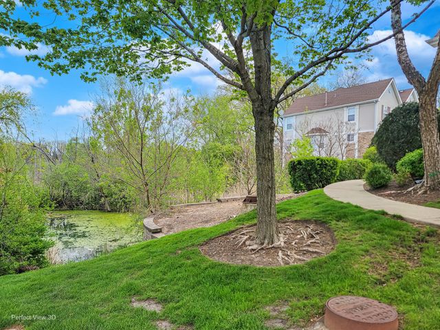 790 W Misty Drive, Palatine, IL 60074
