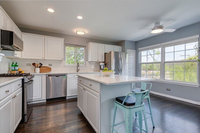 790 W Misty Drive, Palatine, IL 60074