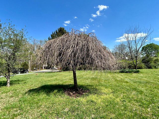 811 CONSERVATION DR, Hedgesville, WV 25427