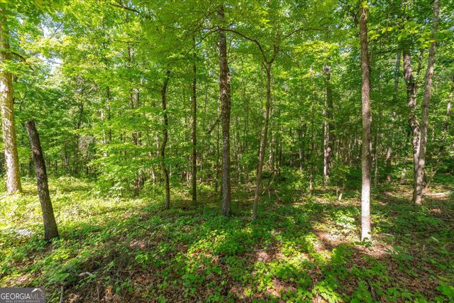 251 Old Stagecoach Road, Carrollton, GA 30116