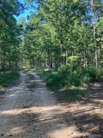 199 Madison CR 410, Fredericktown, MO 63645