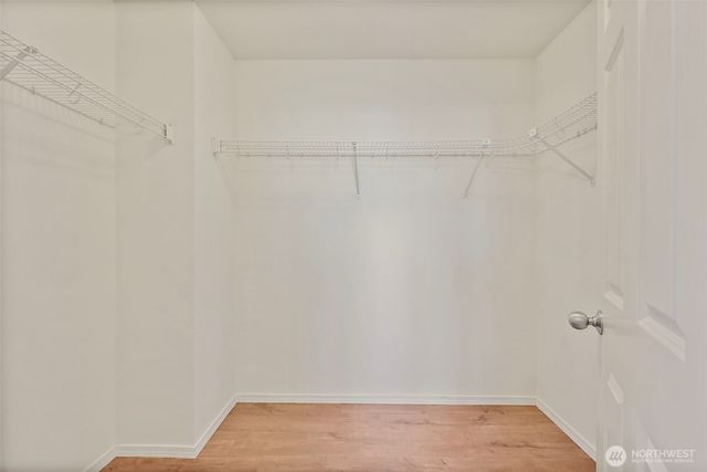 1682 Brown Avenue, Dupont, WA 98327