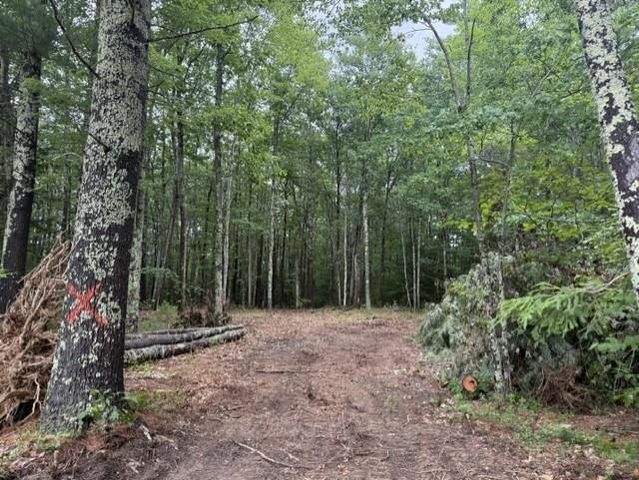 120 Rounala Road, Milford, NH 03055