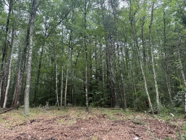 120 Rounala Road, Milford, NH 03055