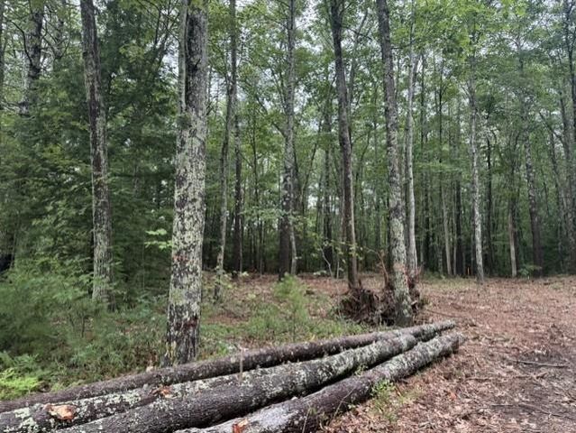 120 Rounala Road, Milford, NH 03055