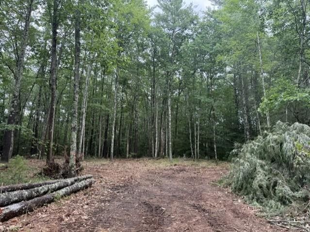 120 Rounala Road, Milford, NH 03055