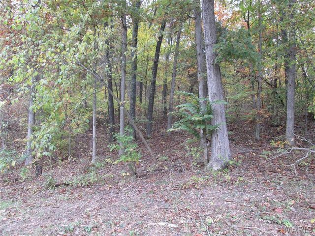 13351 State Route H, Edgar Springs, MO 65462