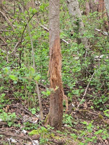 54631 Scenic View Road, Mount Sterling, WI 54645