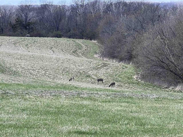 54631 Scenic View Road, Mount Sterling, WI 54645