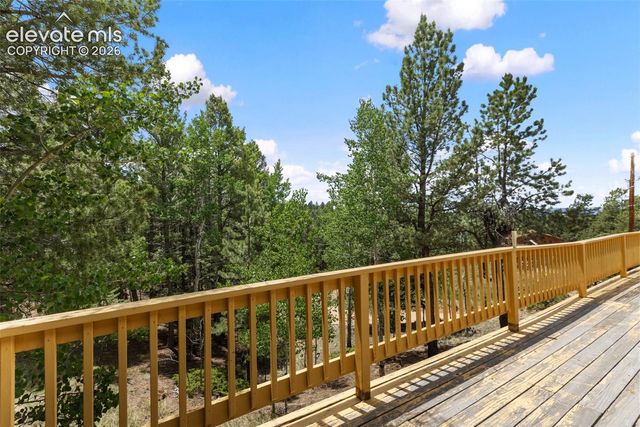 124 Cradle Lake Drive, Divide, CO 80814