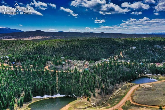 124 Cradle Lake Drive, Divide, CO 80814