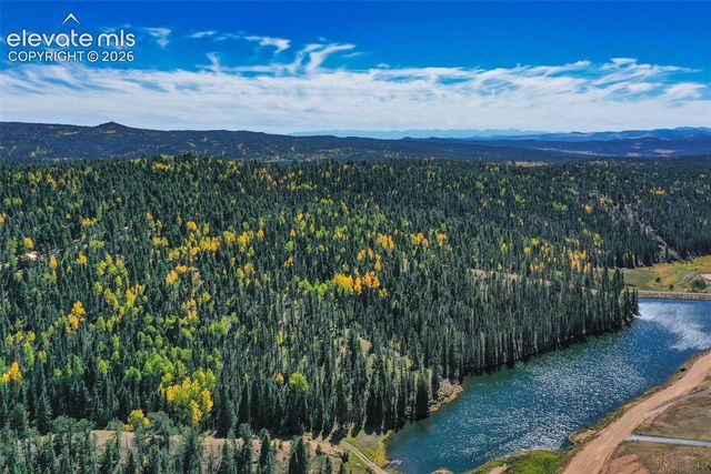 124 Cradle Lake Drive, Divide, CO 80814